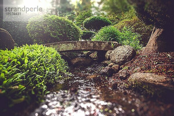 Schmale Steinbrücke in einem spirituellen Garten in Japan