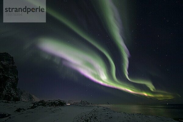 Nordlicht (Aurora borealis) in Grün und seltenem Pink über dem Vogelfelsen von Bleik  Vesterålen  Norwegen  Europa