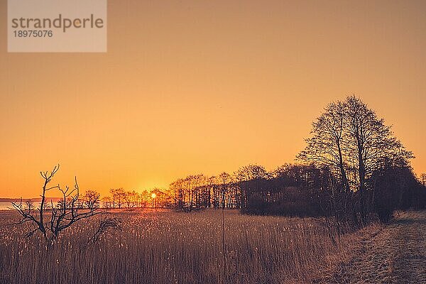 Baumsilhouetten im Sonnenaufgang an einem See