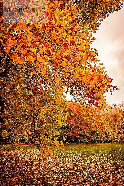 Schöne Herbstlandschaft in warmen Farben