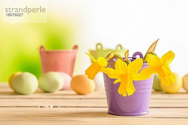 Narzissen in einem lila Blumentopf mit Ostereiern im Hintergrund