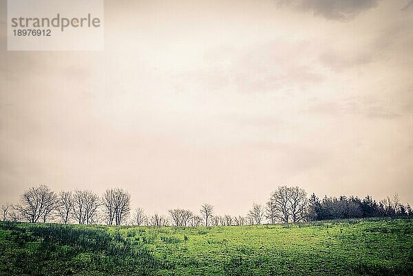 Grüne Landschaft mit Baumsilhouetten und dunklen Wolken