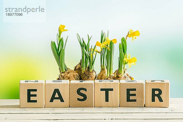 Das Wort Ostern mit gelben Narzissenblüten auf einem Tisch