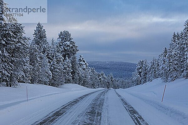 Schneebedeckte Straße 955 auf dem Weg Richtung Inari im Winter  Lappland  Finnland  Europa