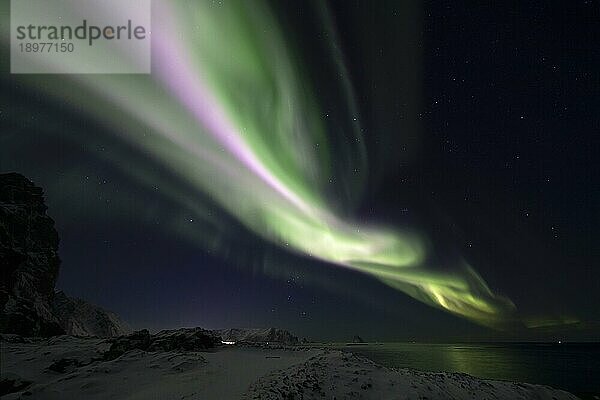 Nordlicht (Aurora borealis) in Grün und seltenem Pink über dem Vogelfelsen von Bleik  Vesterålen  Norwegen  Europa