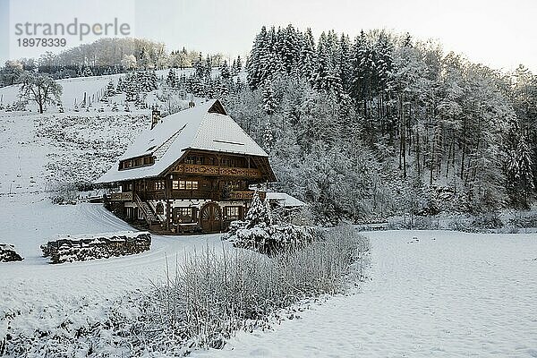 Verschneiter Schwarzwaldhof  Oberhamersbach  Schwarzwald  Baden-Württemberg  Deutschland  Europa