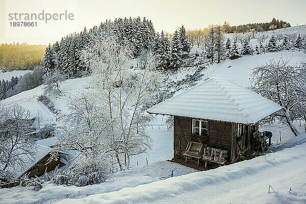 Verschneiter Schwarzwaldhof  Oberhamersbach  Schwarzwald  Baden-Württemberg  Deutschland  Europa