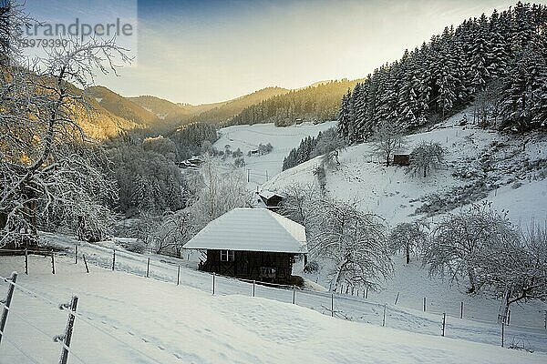 Verschneiter Schwarzwaldhof  Oberhamersbach  Schwarzwald  Baden-Württemberg  Deutschland  Europa