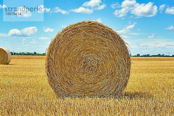 Vorderansicht eines großen runden Heuballens auf einem landwirtschaftlichen Feld vor blauem Himmel