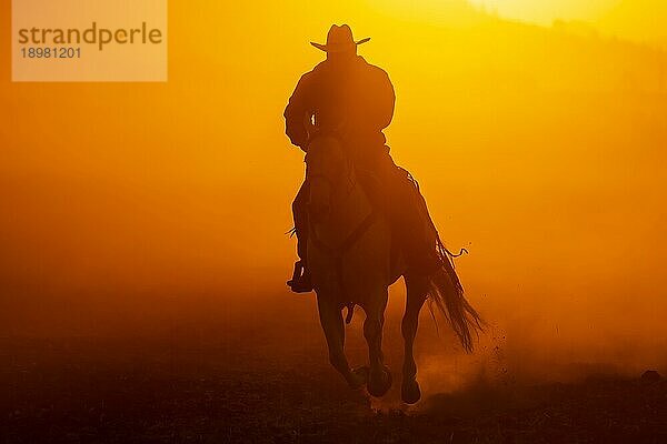 Ein mexikanischer Charro treibt eine Pferdeherde zusammen  die bei Sonnenaufgang durch ein Feld auf einer mexikanischen Ranch läuft