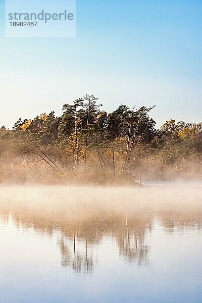 Schöner Blick auf einen See mit Nebel und Wasserreflexionen in der Wildnis im Herbst  Schweden  Europa
