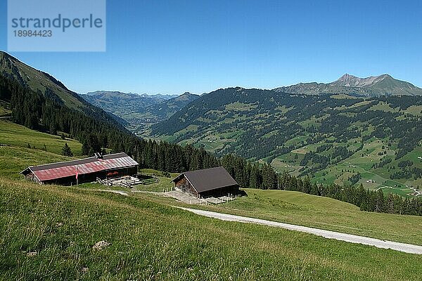 Schönes Saanenland  Region in den Schweizer Alpen