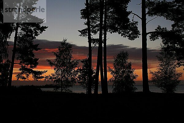 Silhouetten von Bäumen am Ufer des Vanernsees
