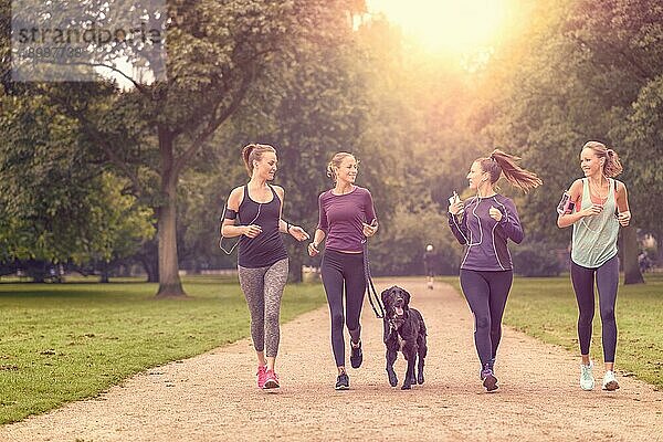 Vier gesunde junge Frauen beim Joggen im Park am Nachmittag mit einem Hund