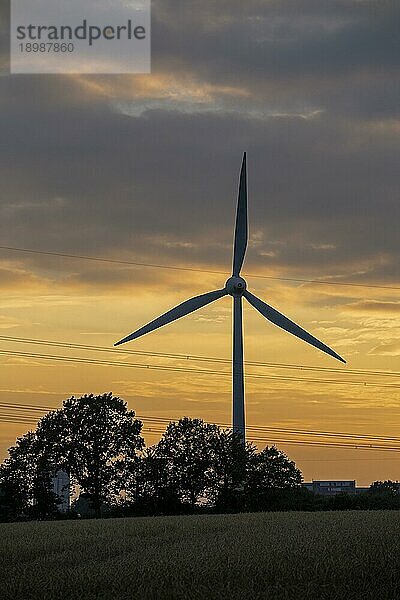 Windkraftwerk vor abendlichem Himmel  Abendrot  Bäume  Silhouetten  Wolken  Melbeck  Samtgemeinde Ilmenau  Niedersachsen  Deutschland  Europa