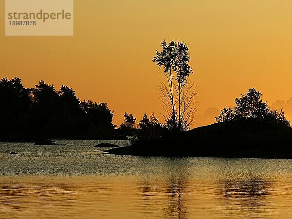 Umrisse eines Baumes auf einer kleinen Insel im Vanernsee. Goldener Morgenhimmel. Sonnenaufgangsszene in Dalsland  Schweden  Europa