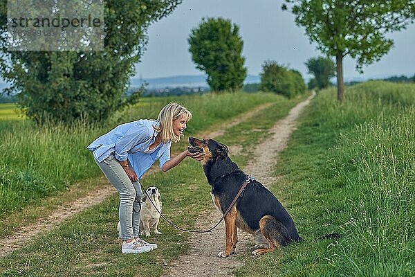 Blonde lächelnde Frau streichelt großen Hund beim Spaziergang entlang der Landstraße