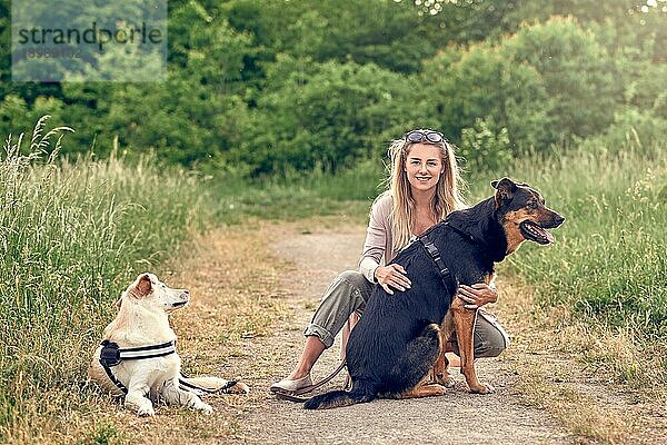Glückliche blonde Frau mit ihren beiden treuen Hunden  die sich auf einem ländlichen Feldweg ausruhen  während sie mit einem großen schwarz lohfarbenen Hund kniend trainieren