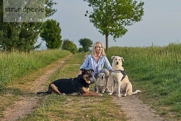 Attraktive blonde Frau auf einem ländlichen Weg mit ihren drei Hunden an der Leine bei Sonnenuntergang  die mit einem warmen freundlichen Lächeln in die Kamera schaut