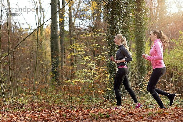 Profilansicht von zwei fitten jungen Frauen  die gemeinsam durch einen herbstlichen Wald joggen  um einen gesunden  aktiven Lebensstil zu pflegen