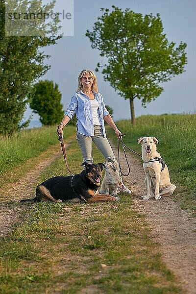 Attraktive blonde Frau auf einem ländlichen Weg mit ihren drei Hunden an der Leine bei Sonnenuntergang  die mit einem warmen freundlichen Lächeln in die Kamera schaut