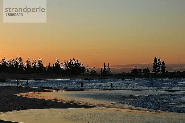 Abendszene am Strand von Port Macquarie  Australien. Meer  Strand und Silhouetten von Bäumen