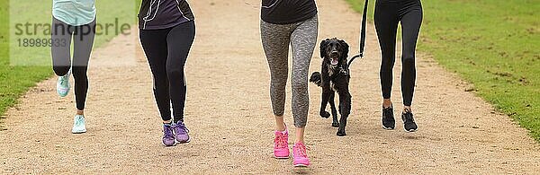 Beine von vier Frauen  die Fitness Outfit tragen und mit ihrem schwarzen Hund im Park laufen