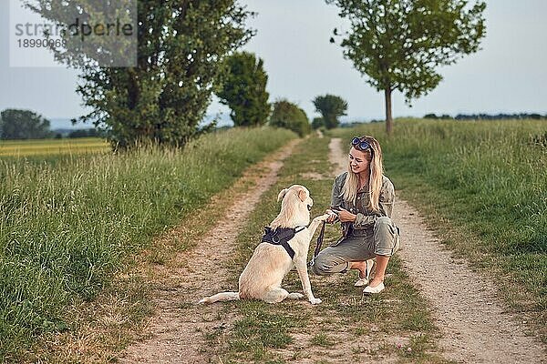 Liebevolle junge Frau  die ihrem Hund eine Pfote anbietet  während sie auf einem Feldweg auf dem Lande während ihres täglichen Spaziergangs hockt