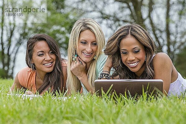 Drei junge Studentinnen studieren in einem Park