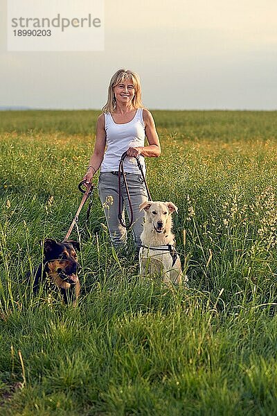 Attraktive blonde Frau in einem Feld mit üppigem langen grünen Frühlingsgras mit ihren beiden Hunden an der Leine bei Sonnenuntergang  die mit einem warmen freundlichen Lächeln in die Kamera schaut