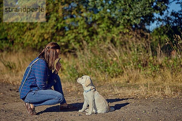 Glückliche brünette Frau mittleren Alters  die mit ihrem kleinen Labrador Retriever Welpen im goldenen Sonnenlicht trainiert  mit Kopiervorlage oben