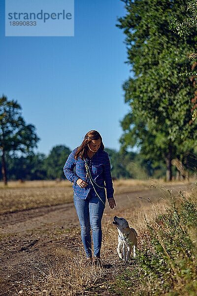 Fröhliche brünette Frau mittleren Alters  die mit ihrem kleinen Labrador Retriever Welpen im goldenen Sonnenlicht spazieren geht  mit Kopierraum nach rechts