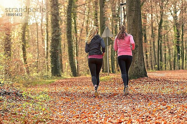 Rückansicht von zwei fitten jungen Frauen  die gemeinsam durch einen herbstlichen Wald joggen  um einen gesunden  aktiven Lebensstil zu pflegen