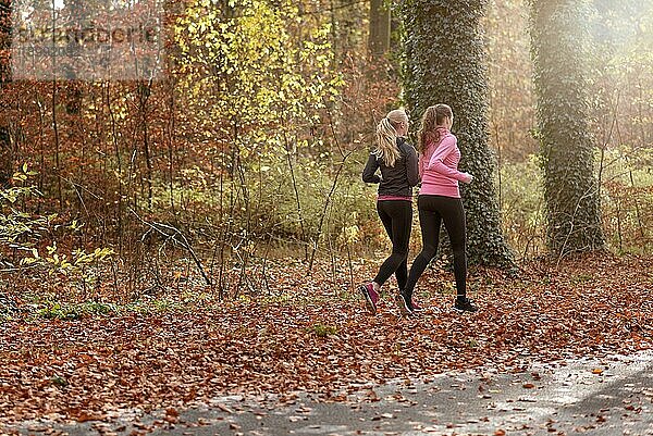 Rückansicht von zwei fitten jungen Frauen  die gemeinsam durch einen herbstlichen Wald joggen  um einen gesunden  aktiven Lebensstil zu pflegen