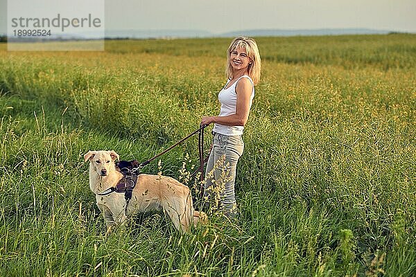 Blonde Frau geht mit ihren Hunden bei Sonnenuntergang im goldenen Licht durch ein üppiges grünes Feld oder eine Wiese mit langem grünen Gras spazieren