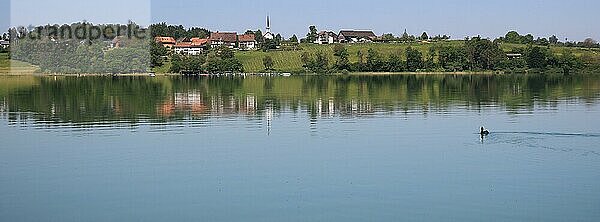 Traumhafter Sommermorgen am Ufer des Pfaffikersees  Kanton Zürich