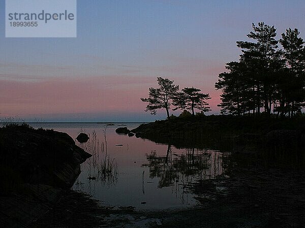 Umrisse von Bäumen und rosa Abendhimmel in Vita Sannar  Schweden  Europa