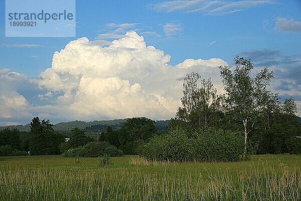 Dramatische Wolke (Kumulus) über grünen Wiesen und Bäumen bei Wetzikon  Zürich