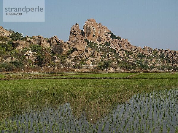 Schöner Granitberg und Reisfeld. Landschaft in Hampi