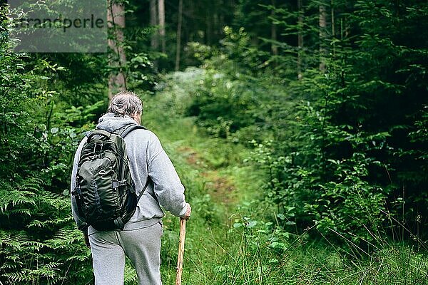 Spaziergang im Wald. Rückenansicht eines Mannes  der durch den Wald geht. Urlaub  Reise Konzept