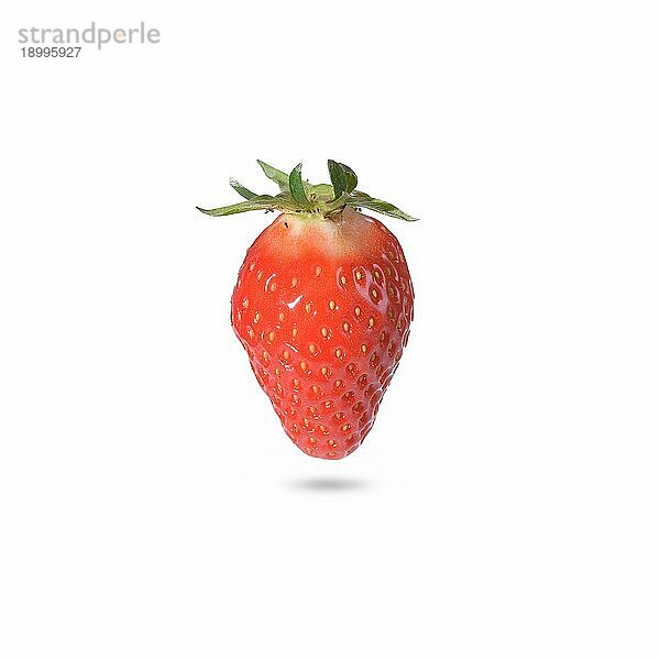 Nahaufnahme einer reifen Erdbeere  natürliche Quelle von Vitamin C  Kalium und Antioxidantien  mit Schatten  auf weißem Hintergrund