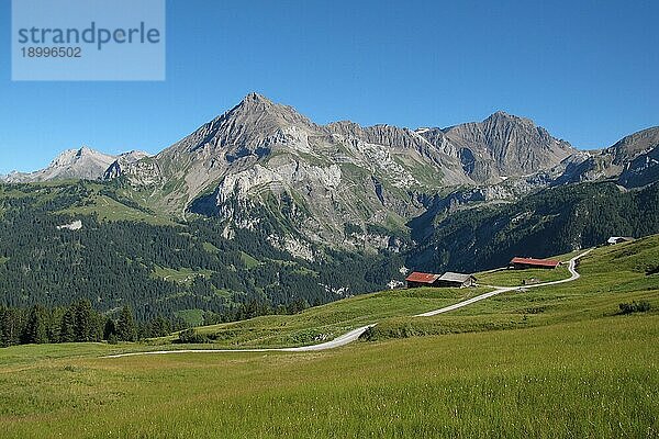 Schöne Landschaft in Gsteig bei Gstaad  Schweizer Alpen