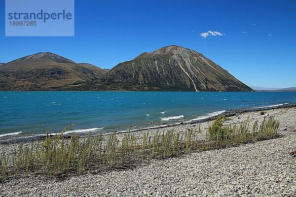 Schöne Landschaft auf der Südinsel. Sommerszene in Neuseeland