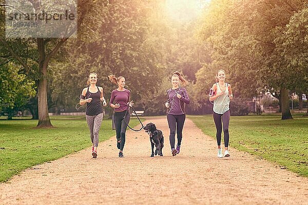 Vier gesunde junge Frauen beim Joggen im Park am Nachmittag mit einem Hund