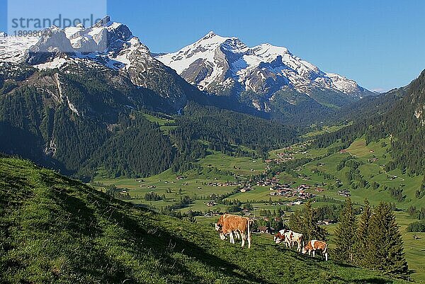 Schöne Landschaft bei Gstaad  Berner Oberland