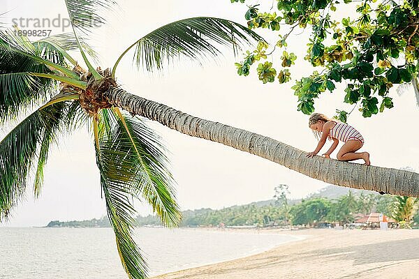 Nettes kleines blondes Mädchen klettert auf der Palme am Strand. Sommerurlaub  Kindheit und Spaß Konzept