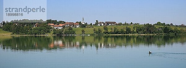 Traumhafter Sommermorgen am Ufer des Pfaffikersees  Kanton Zürich