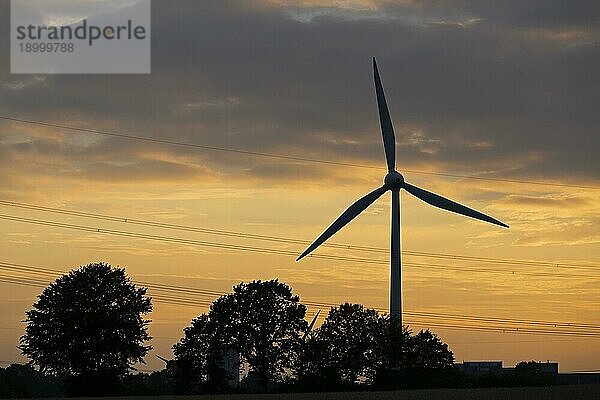 Windkraftwerk vor abendlichem Himmel  Abendrot  Bäume  Silhouetten  Wolken  Melbeck  Samtgemeinde Ilmenau  Niedersachsen  Deutschland  Europa