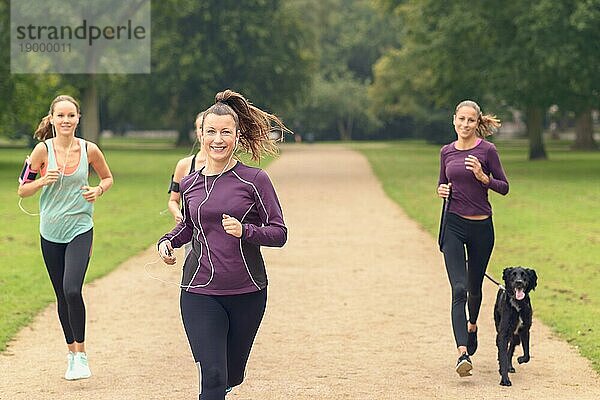 Vier sportliche Mädchen joggen im Park  eine ist mit ihrem Hund unterwegs
