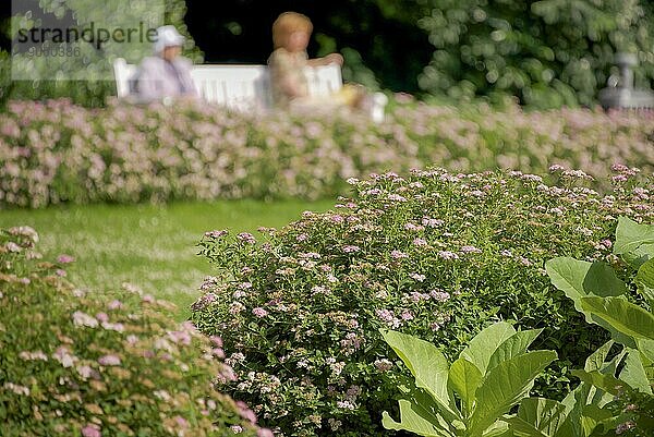 Blumen in einem öffentlichen Park mit Menschen auf einer Bank im Hintergrund